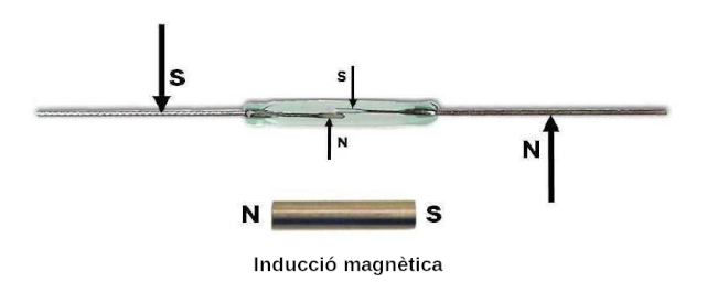 Inducció